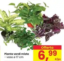 Despar Piante verdi miste offerta