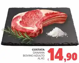 Eté Costata danann bovino adulto offerta