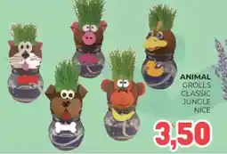 Eté Animal grolls classic jungle nice offerta