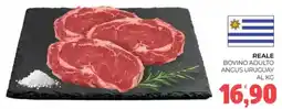 Eté Reale bovino adulto angus uruguay offerta