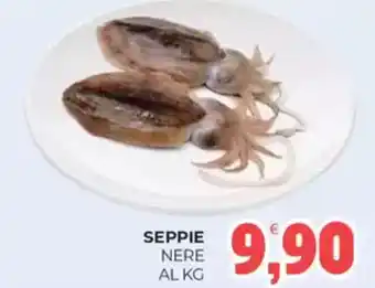 Eté Seppie nere offerta