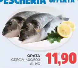 Eté Orata grecia 400/600 offerta