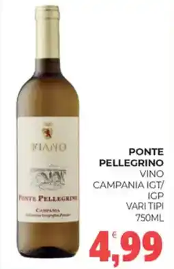 Eté Ponte pellegrino vino campania igt/ campania igp vari tipi offerta