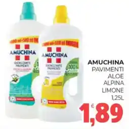 Eté Amuchina pavimenti aloe alpina limone offerta