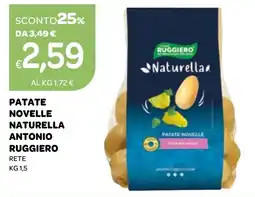 Ekom Patate novelle naturella antonio RUGGIERO offerta