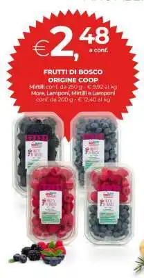 Coop FRUTTI DI BOSCO ORIGINE COOP offerta