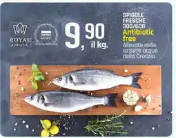 Famila Spigole Fresche offerta
