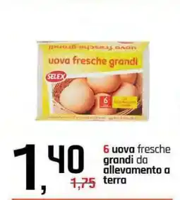 Famila 6 UOVA FRESCHE GRANDI offerta