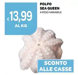 Ekom Polpo sea queen offerta