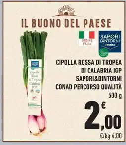 Conad Cipolla Rossa di Tropea di Calabria IGP offerta