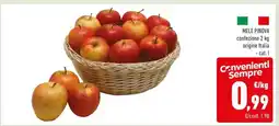 Conad MELE PINOVA offerta