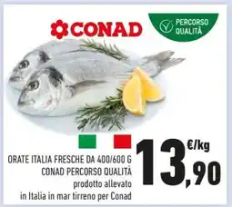 Conad ORATE ITALIA FRESCHE DA 400/600 G offerta