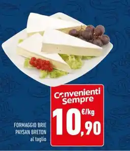 Conad FORMAGGIO BRIE PAYSAN BRETON al taglio offerta