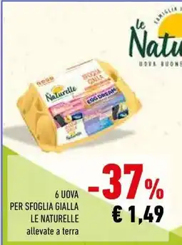 Conad 6 Uova per Sfoglia Gialla Le Naturelle offerta