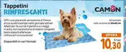 Conad Tappetini RINFRESCANTI offerta