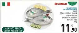 Conad ORATE offerta