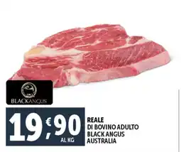 Deco Maxistore Reale di bovino adulto black angus australia offerta