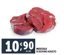 Deco Maxistore Muscolo di bovino adulto offerta