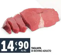 Deco Maxistore Tagliata di bovino adulto offerta
