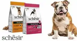 Pet Store Conad Schesir sacco offerta
