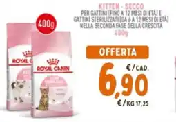 Pet Store Conad ROYAL CANIN Kitten-secco offerta