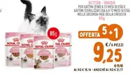 Pet Store Conad Kitten-umido ROYAL CANIN offerta