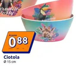 Action Ciotola offerta
