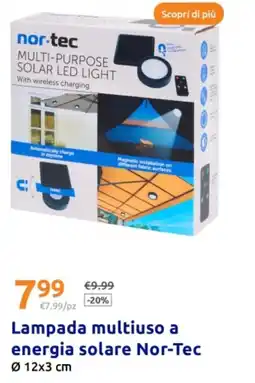 Action Lampada multiuso a energia solare Nor-Tec offerta
