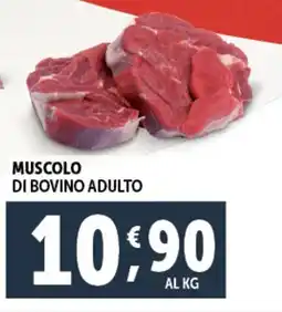 Deco Supermercati Muscolo di bovino adulto offerta