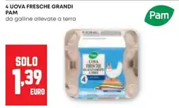 Pam 4 uova fresche grandi PAM offerta