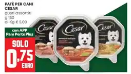 Pam Patè per cani CESAR offerta