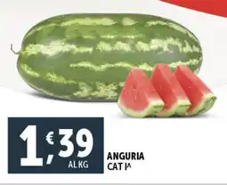 Deco Supermercati Anguria offerta
