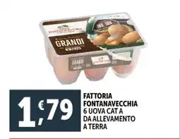 Deco Supermercati Fattoria fontanavecchia offerta