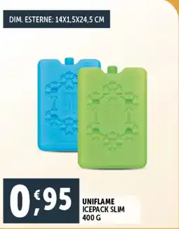 Deco Supermercati Uniflame icepack slim offerta