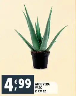 Deco Supermercati Aloe vera offerta