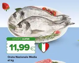 Tigre Orata Nazionale Media offerta