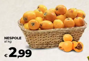 Coop NESPOLE offerta