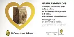 Iper Tosano Grana padano dop offerta