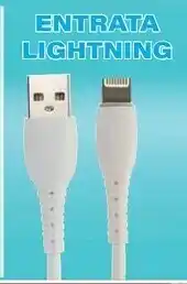 Satur Cavo di ricarica di tipo lightning 2 m offerta