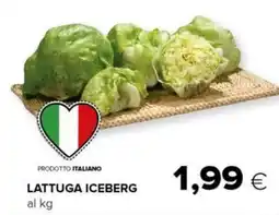 Tigre Lattuga iceberg offerta