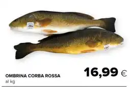 Tigre Ombrina corba rossa offerta