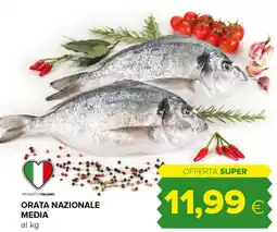Tigre Orata nazionale media offerta