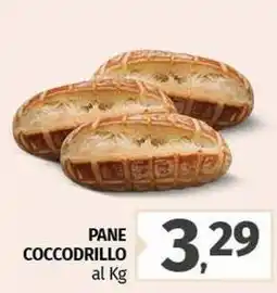 Pam Pane coccodrillo offerta