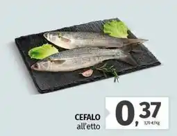 CEFALO all'etto