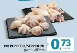 Polpi piccoli/seppioline
