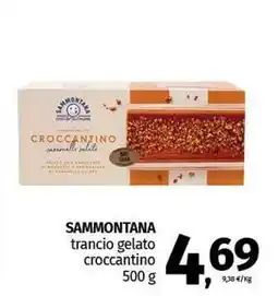Pam SAMMONTANA trancio gelato croccantino offerta