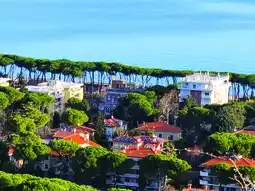 MD Discount HOTEL MIRAMARE offerta