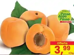 Eurospar Albicocche Passo Dopo Passo Despar offerta