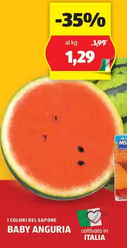 ALDI I colori del sapore baby anguria offerta
