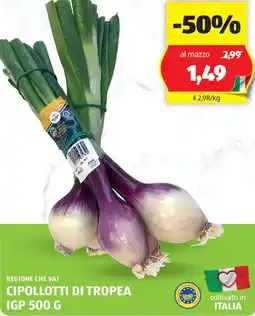 ALDI Regione che vai cipollotti di tropea IGP offerta